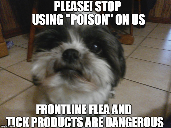 Ling-Ling Says: | PLEASE! STOP USING ''POISON'' ON US; FRONTLINE FLEA AND TICK PRODUCTS ARE DANGEROUS | image tagged in ling-ling says | made w/ Imgflip meme maker