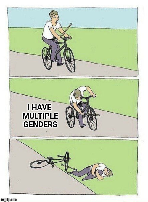 Bike Fall Meme | I HAVE MULTIPLE GENDERS | image tagged in bike fall,gender | made w/ Imgflip meme maker