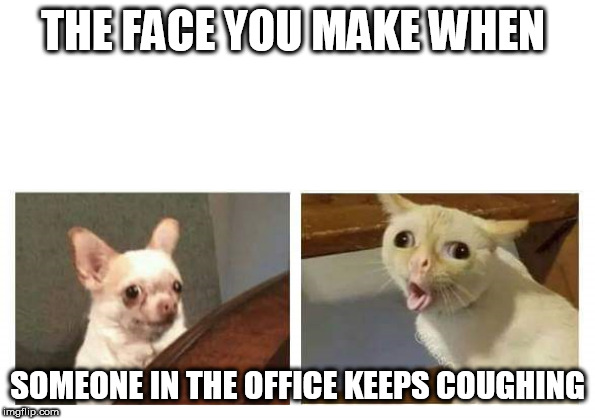 THE FACE YOU MAKE WHEN; SOMEONE IN THE OFFICE KEEPS COUGHING | image tagged in dog and cat | made w/ Imgflip meme maker