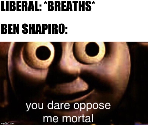 You dare oppose me mortal | LIBERAL: *BREATHS*; BEN SHAPIRO: | image tagged in you dare oppose me mortal | made w/ Imgflip meme maker