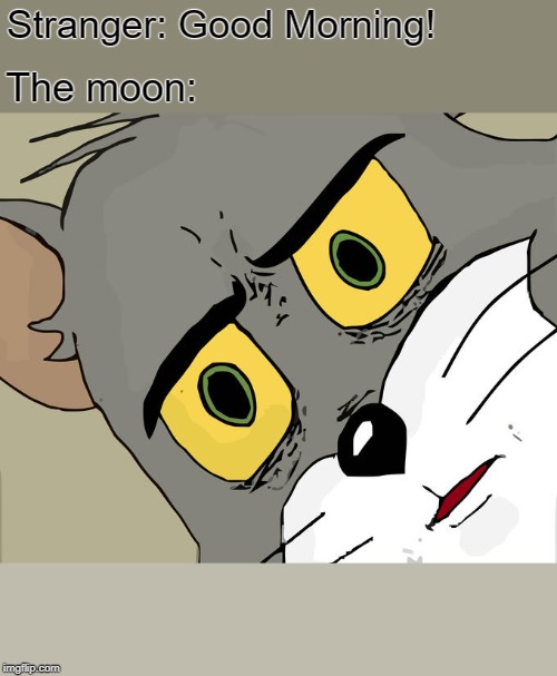 Unsettled Tom | Stranger: Good Morning! The moon: | image tagged in memes,unsettled tom | made w/ Imgflip meme maker