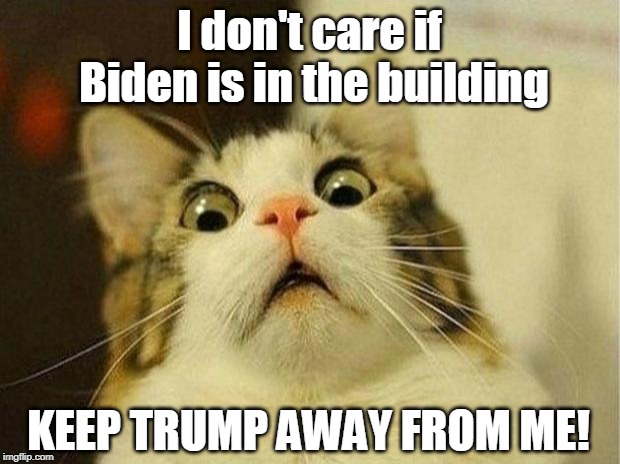Puss In Fear | I don't care if Biden is in the building; KEEP TRUMP AWAY FROM ME! | image tagged in memes,scared cat,trump,biden,grope,grab | made w/ Imgflip meme maker