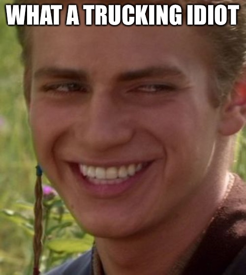 Cheeky Anakin | WHAT A TRUCKING IDIOT | image tagged in cheeky anakin | made w/ Imgflip meme maker