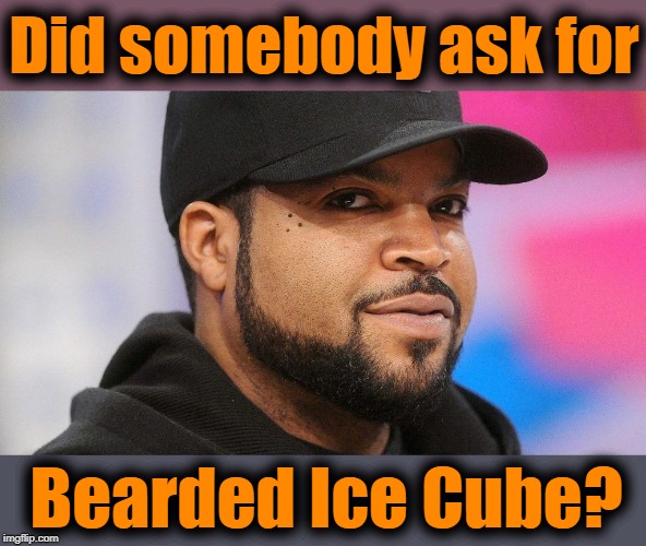 Did somebody ask for Bearded Ice Cube? | made w/ Imgflip meme maker