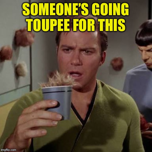 Kirk coffee tribble | SOMEONE’S GOING TOUPEE FOR THIS | image tagged in kirk coffee tribble | made w/ Imgflip meme maker