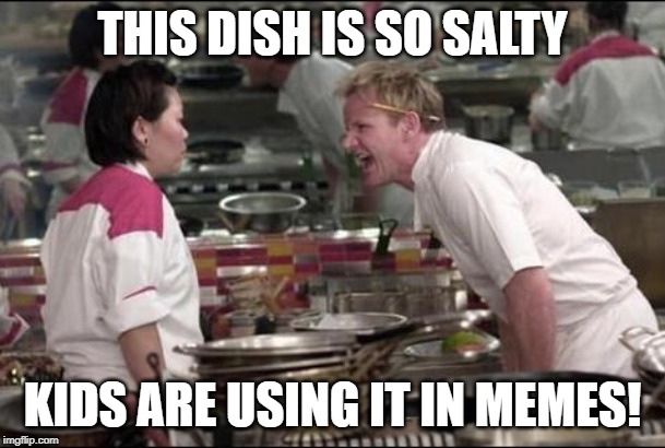 Angry Chef Gordon Ramsay | THIS DISH IS SO SALTY; KIDS ARE USING IT IN MEMES! | image tagged in memes,angry chef gordon ramsay | made w/ Imgflip meme maker