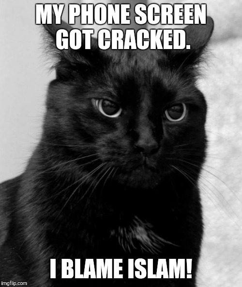 Black cat pissed | MY PHONE SCREEN GOT CRACKED. I BLAME ISLAM! | image tagged in black cat pissed | made w/ Imgflip meme maker