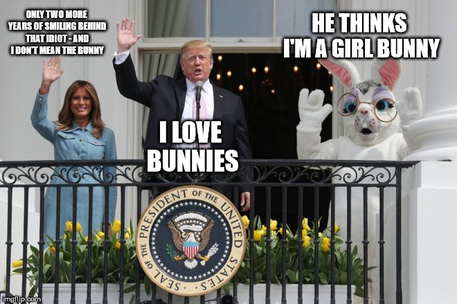 trump v bunny | HE THINKS I'M A GIRL BUNNY; ONLY TWO MORE YEARS OF SMILING BEHIND THAT IDIOT - AND I DON'T MEAN THE BUNNY; I LOVE BUNNIES | image tagged in trump v bunny | made w/ Imgflip meme maker