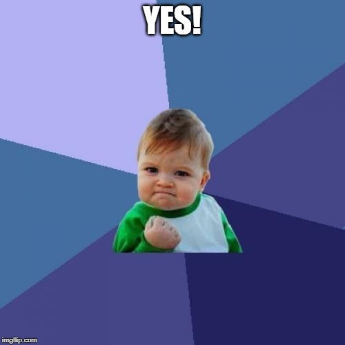 Success Kid Meme | YES! | image tagged in memes,success kid | made w/ Imgflip meme maker