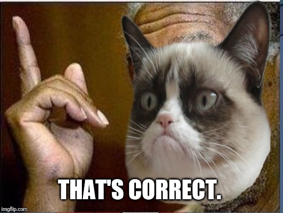 Grumpy Cat He's Right You Know | THAT'S CORRECT. | image tagged in grumpy cat he's right you know | made w/ Imgflip meme maker