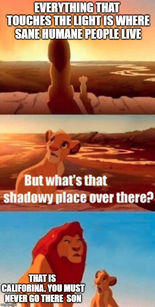 Simba Shadowy Place | EVERYTHING THAT TOUCHES THE LIGHT IS WHERE SANE HUMANE PEOPLE LIVE; THAT IS CALIFORINA. YOU MUST NEVER GO THERE  SON | image tagged in memes,simba shadowy place | made w/ Imgflip meme maker