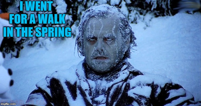 Freezing cold | I WENT FOR A WALK IN THE SPRING | image tagged in freezing cold | made w/ Imgflip meme maker