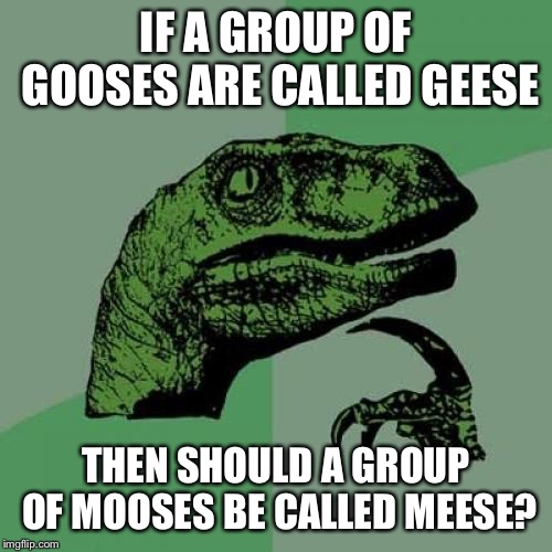 Philosoraptor Meme | IF A GROUP OF GOOSES ARE CALLED GEESE; THEN SHOULD A GROUP OF MOOSES BE CALLED MEESE? | image tagged in memes,philosoraptor | made w/ Imgflip meme maker