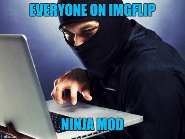 Ninja | EVERYONE ON IMGFLIP NINJA MOD | image tagged in ninja | made w/ Imgflip meme maker