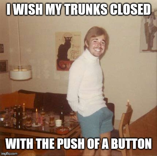 70's boner | I WISH MY TRUNKS CLOSED WITH THE PUSH OF A BUTTON | image tagged in 70's boner | made w/ Imgflip meme maker