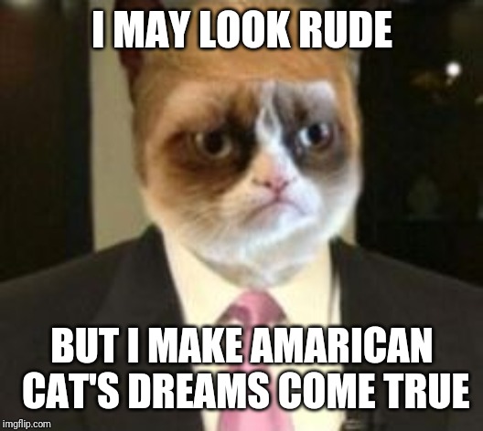 Trumpy Cat | I MAY LOOK RUDE; BUT I MAKE AMARICAN CAT'S DREAMS COME TRUE | image tagged in trumpy cat | made w/ Imgflip meme maker