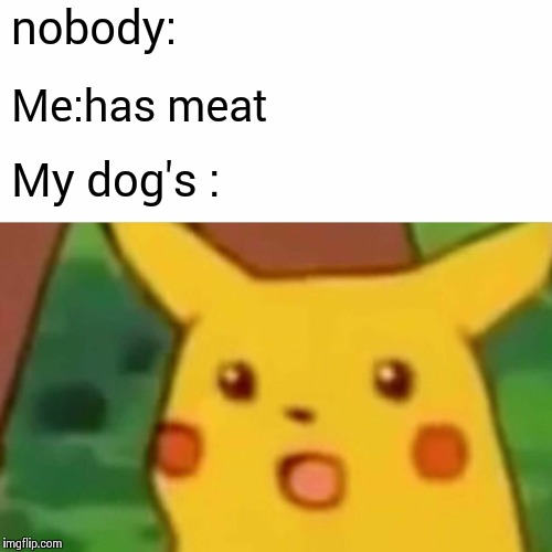 Surprised Pikachu | nobody:; Me:has meat; My dog's : | image tagged in memes,surprised pikachu | made w/ Imgflip meme maker