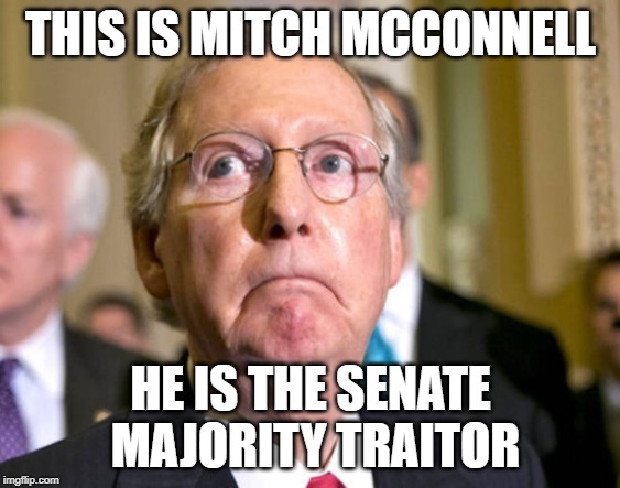 Mitch McConnell | THIS IS MITCH MCCONNELL; HE IS THE SENATE MAJORITY TRAITOR | image tagged in mitch mcconnell | made w/ Imgflip meme maker