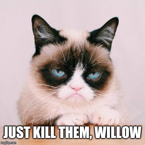 grumpy cat again | JUST KILL THEM, WILLOW | image tagged in grumpy cat again | made w/ Imgflip meme maker