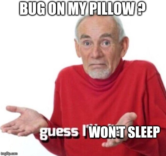 guess ill die | BUG ON MY PILLOW ? WON'T SLEEP | image tagged in guess ill die | made w/ Imgflip meme maker