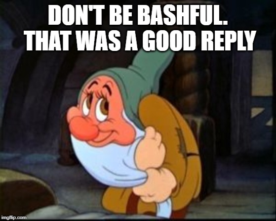 Bashful Dwarf | DON'T BE BASHFUL. THAT WAS A GOOD REPLY | image tagged in bashful dwarf | made w/ Imgflip meme maker