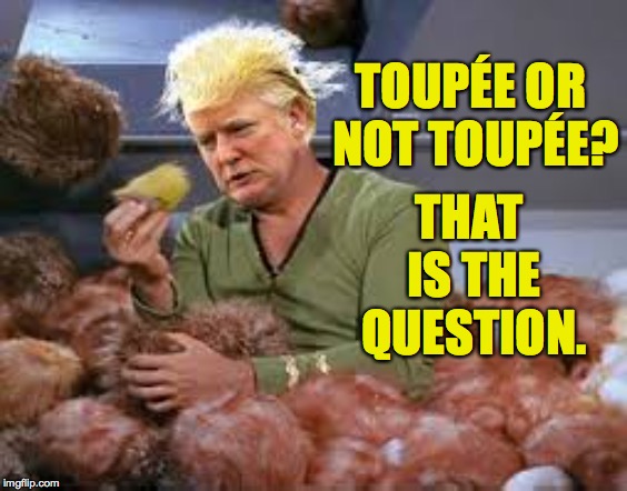 TOUPÉE OR NOT TOUPÉE? THAT IS THE QUESTION. | made w/ Imgflip meme maker