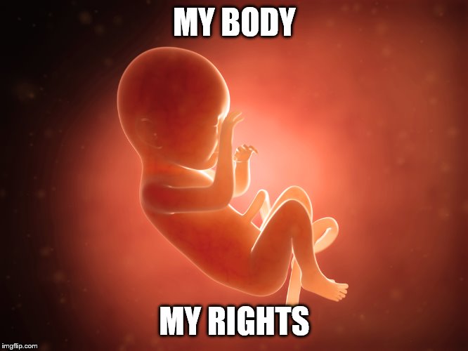 That's what Democrats preach correct? | MY BODY; MY RIGHTS | image tagged in democrats,abortion is murder,stupid liberals,birth | made w/ Imgflip meme maker