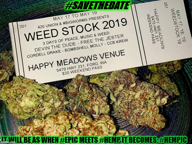 TEAM WEEDSTOCK2019  IN THE 1 502 HOUSE | #SAVETHEDATE; IT WILL BE AS WHEN #EPIC MEETS #HEMP IT BECOMES: #HEMPIC | image tagged in team weedstock2019 in the 1 502 house | made w/ Imgflip meme maker