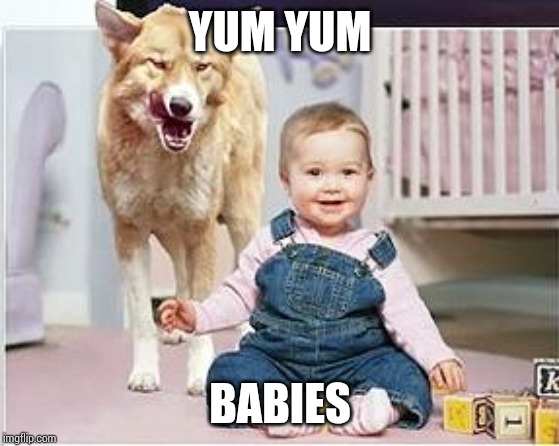 Dingositter | YUM YUM BABIES | image tagged in dingositter | made w/ Imgflip meme maker