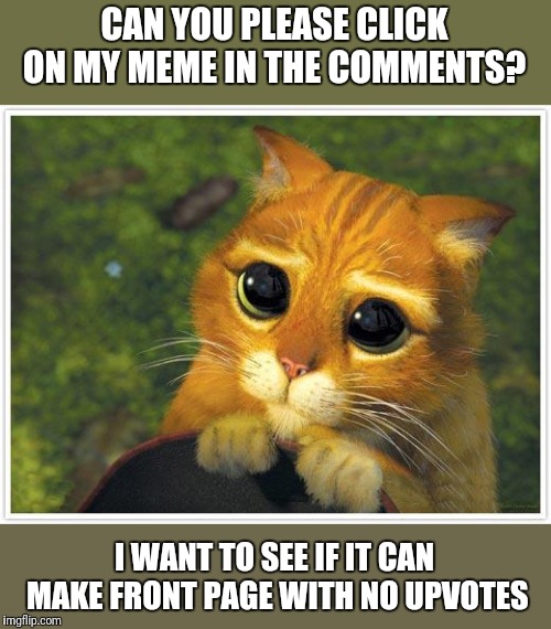 It's not upvote begging if you're upvote banning | CAN YOU PLEASE CLICK ON MY MEME IN THE COMMENTS? I WANT TO SEE IF IT CAN MAKE FRONT PAGE WITH NO UPVOTES | image tagged in memes,shrek cat,please,no upvotes,it came from the comments | made w/ Imgflip meme maker