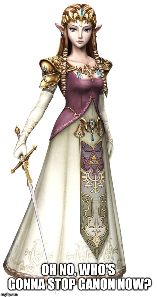 Princess Zelda | OH NO, WHO'S GONNA STOP GANON NOW? | image tagged in princess zelda | made w/ Imgflip meme maker