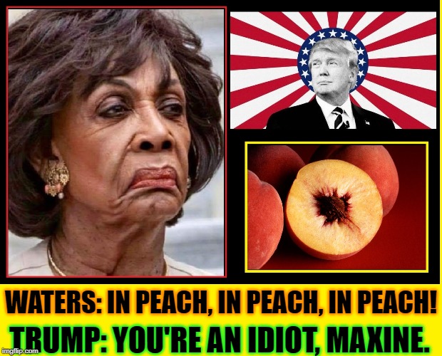 If you don't like my peaches, why do you shake my tree? | WATERS: IN PEACH, IN PEACH, IN PEACH! TRUMP: YOU'RE AN IDIOT, MAXINE. | image tagged in vince vance,donald j trump,impeach trump,peaches,maxine waters crazy,potus | made w/ Imgflip meme maker