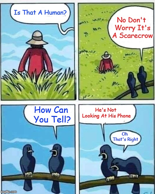 Always Pay Attention To Details | No Don't Worry It's A Scarecrow; Is That A Human? He's Not Looking At His Phone; How Can You Tell? Oh That's Right | image tagged in memes,cartoon,recreation | made w/ Imgflip meme maker