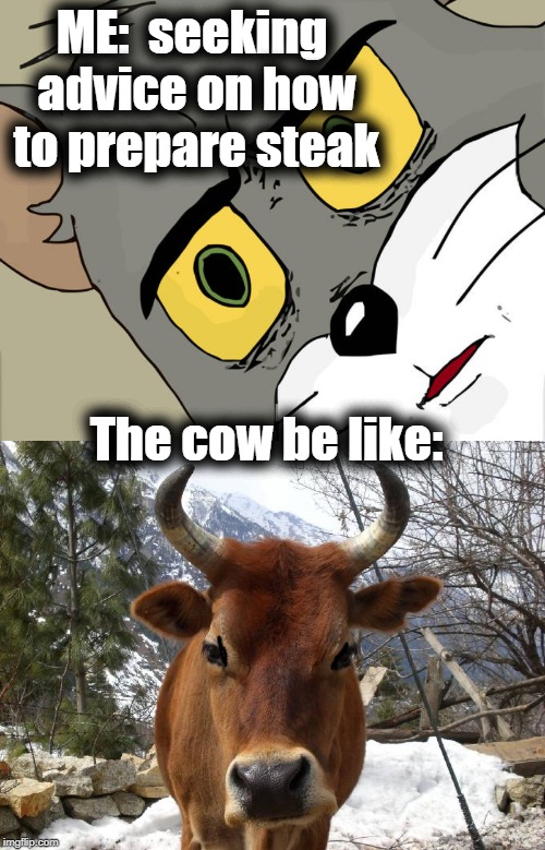 ME:  seeking advice on how to prepare steak The cow be like: | image tagged in memes,unsettled tom | made w/ Imgflip meme maker