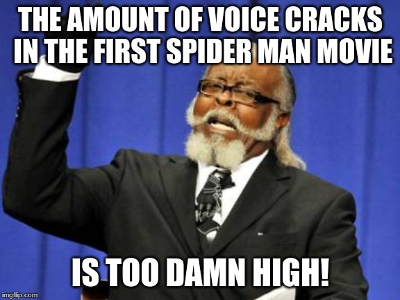 Anyone else notice how many voice cracks Peter had? | THE AMOUNT OF VOICE CRACKS IN THE FIRST SPIDER MAN MOVIE; IS TOO DAMN HIGH! | image tagged in memes,too damn high,spider man,spiderman,peter parker | made w/ Imgflip meme maker
