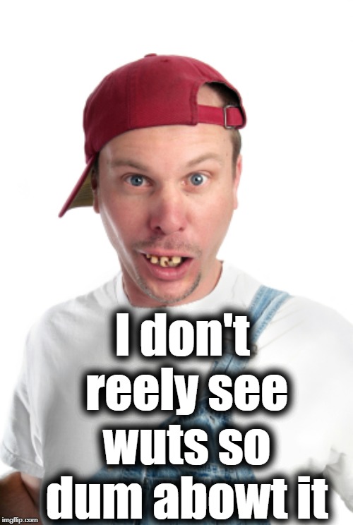 I don't reely see wuts so dum abowt it | made w/ Imgflip meme maker