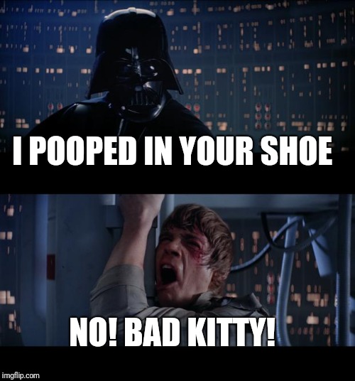 Star Wars No Meme | I POOPED IN YOUR SHOE; NO! BAD KITTY! | image tagged in memes,star wars no | made w/ Imgflip meme maker
