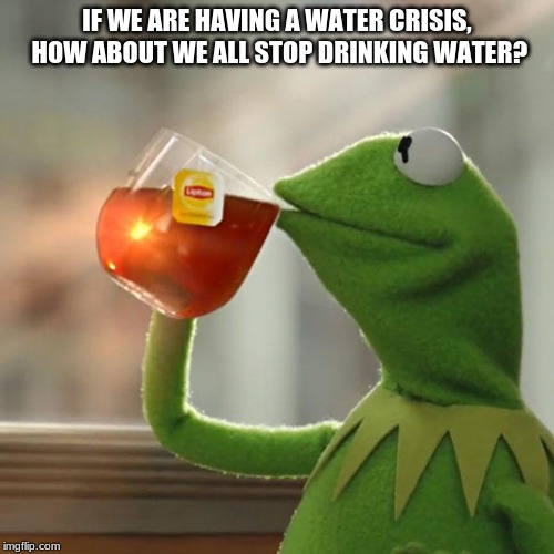 why meatless mondays? | IF WE ARE HAVING A WATER CRISIS, HOW ABOUT WE ALL STOP DRINKING WATER? | image tagged in memes,but thats none of my business,kermit the frog,water,tea | made w/ Imgflip meme maker