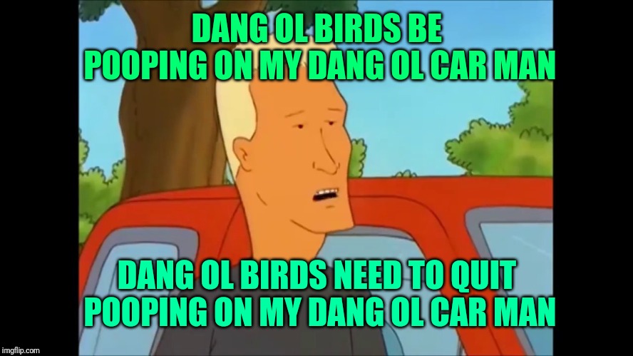 Boomhaure | DANG OL BIRDS BE POOPING ON MY DANG OL CAR MAN; DANG OL BIRDS NEED TO QUIT POOPING ON MY DANG OL CAR MAN | image tagged in boomhaure | made w/ Imgflip meme maker