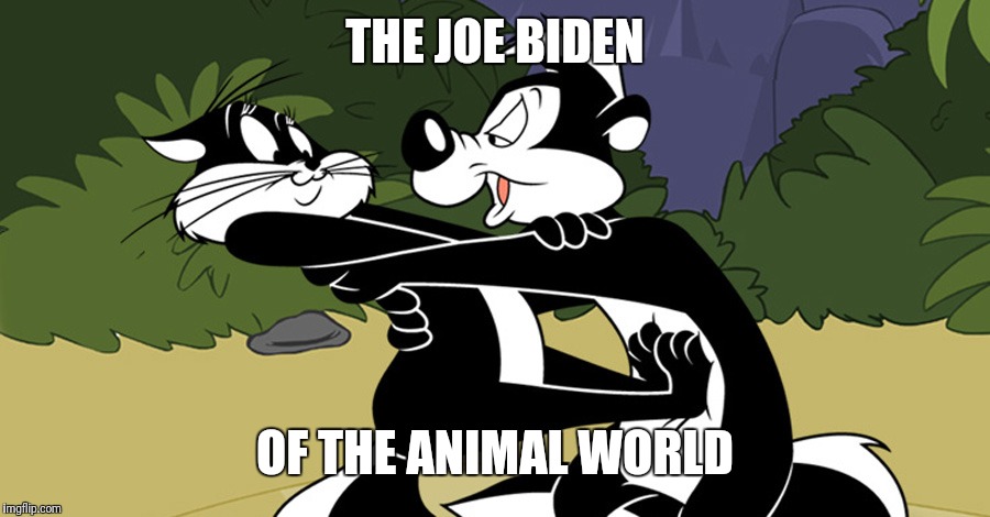 Pepe Le Pew | THE JOE BIDEN; OF THE ANIMAL WORLD | image tagged in pepe le pew | made w/ Imgflip meme maker