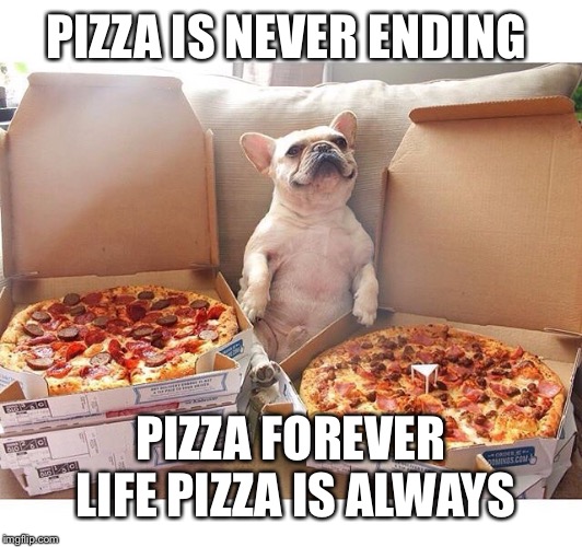 Pizza Dog | PIZZA IS NEVER ENDING PIZZA FOREVER LIFE PIZZA IS ALWAYS | image tagged in pizza dog | made w/ Imgflip meme maker