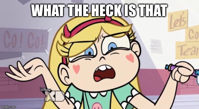 Star Butterfly What the?  | WHAT THE HECK IS THAT | image tagged in star butterfly what the | made w/ Imgflip meme maker