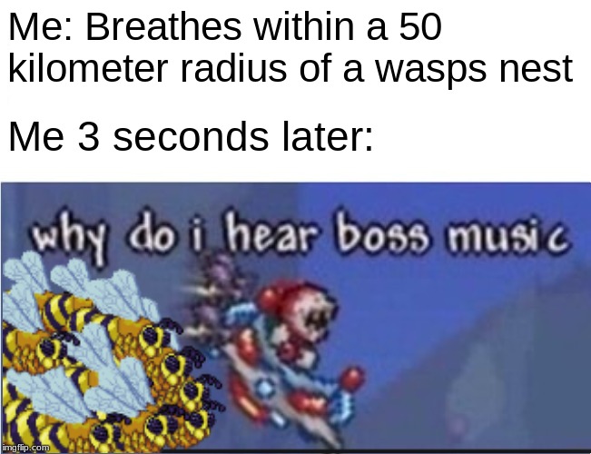 why do i hear boss music | Me: Breathes within a 50 kilometer radius of a wasps nest; Me 3 seconds later: | image tagged in why do i hear boss music | made w/ Imgflip meme maker