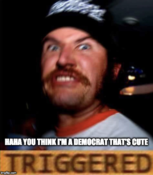 Triggered Conservative | HAHA YOU THINK I'M A DEMOCRAT THAT'S CUTE | image tagged in triggered conservative | made w/ Imgflip meme maker