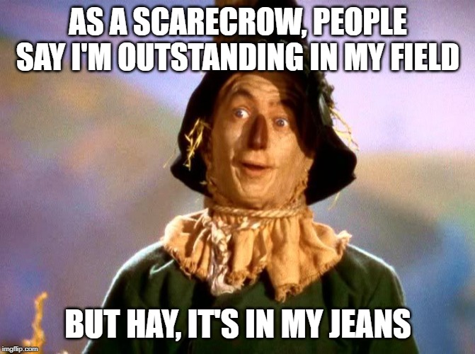 Wizard of Oz Scarecrow | AS A SCARECROW, PEOPLE SAY I'M OUTSTANDING IN MY FIELD; BUT HAY, IT'S IN MY JEANS | image tagged in wizard of oz scarecrow,jokes,funny meme | made w/ Imgflip meme maker
