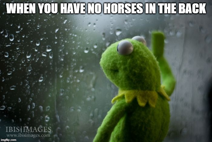 kermit window | WHEN YOU HAVE NO HORSES IN THE BACK | image tagged in kermit window | made w/ Imgflip meme maker