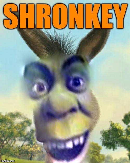 SHRONKEY | made w/ Imgflip meme maker