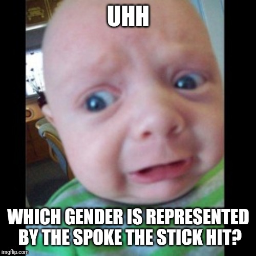 Uhhhhhhhhh... | UHH WHICH GENDER IS REPRESENTED BY THE SPOKE THE STICK HIT? | image tagged in uhhhhhhhhh | made w/ Imgflip meme maker