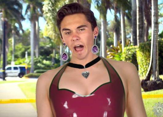 Davida Hogg Blank Meme Template