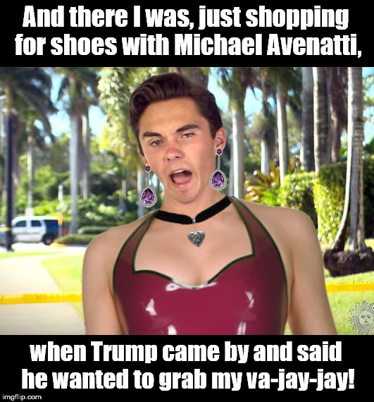 Davida Hogg | And there I was, just shopping for shoes with Michael Avenatti, when Trump came by and said he wanted to grab my va-jay-jay! | image tagged in davida hogg,michael avenatti,humor | made w/ Imgflip meme maker